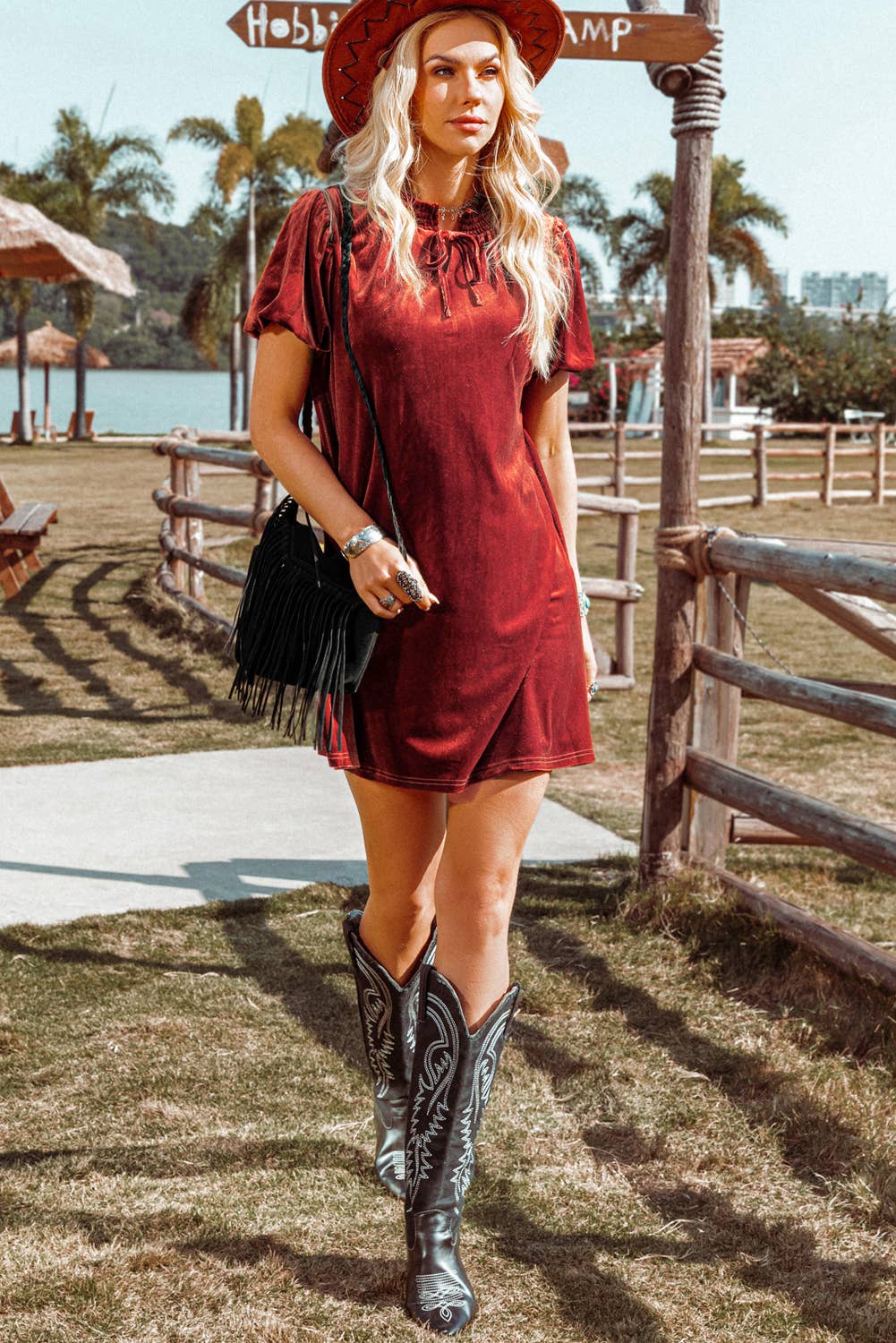 Autumn Velvet Dress