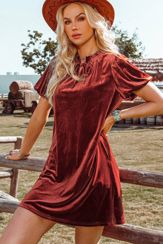 Autumn Velvet Dress
